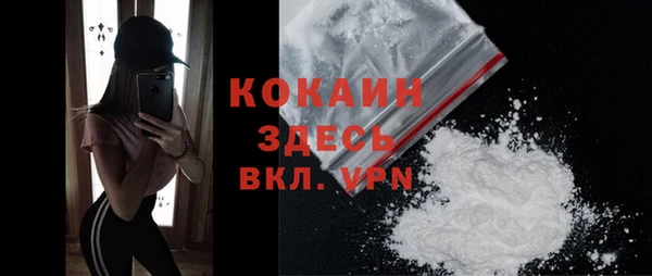 гидра Аркадак