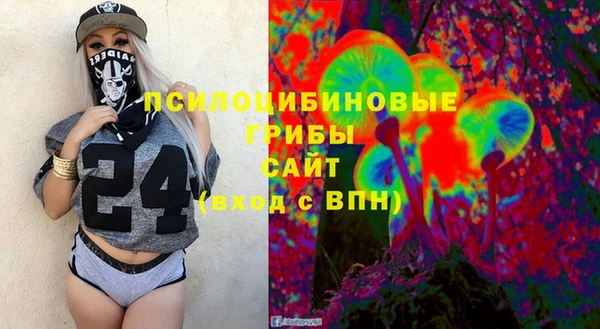 ПСИЛОЦИБИНОВЫЕ ГРИБЫ Армянск