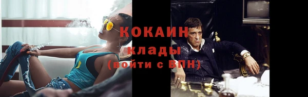 гидра Аркадак
