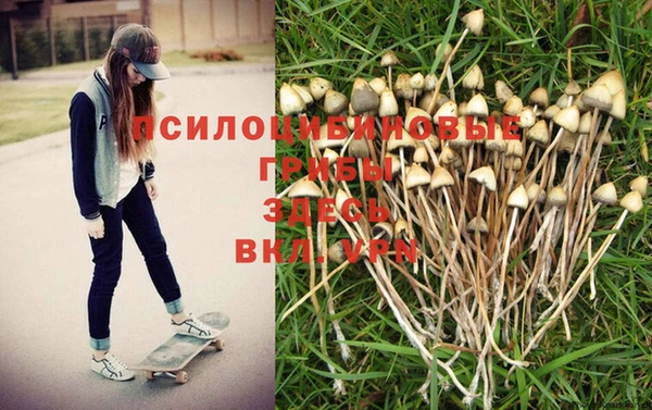 гашик Балахна