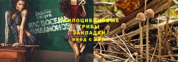 ПСИЛОЦИБИНОВЫЕ ГРИБЫ Армянск